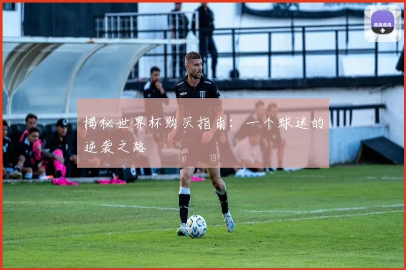 揭秘世界杯购买指南：一个球迷的逆袭之路