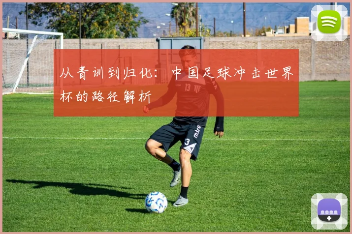 从青训到归化:中国足球冲击世界杯的路径解析