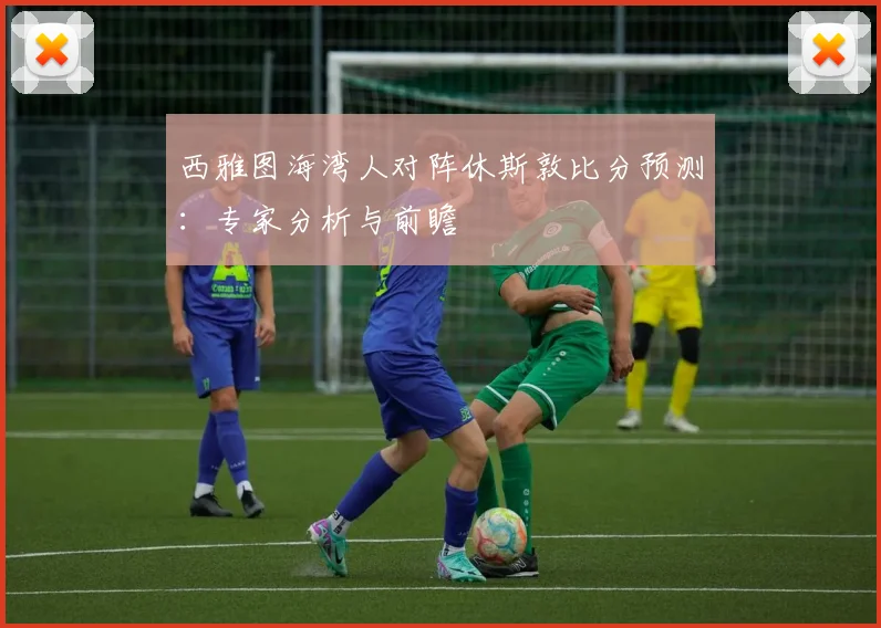 西雅图海湾人对阵休斯敦比分预测：专家分析与前瞻