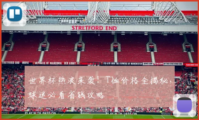世界杯热浪来袭！T恤价格全揭秘，球迷必看省钱攻略